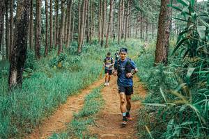 BIB: 
                            <button type="button" onclick="openModal(25654202)" class="btn btn-primary btn-sm float-right btn-popup" data-toggle="modal" data-target=".modal-high-quality">
                        <i class="fas fa-shopping-cart"></i> Add to Cart
                    </button>
                                            <button type="button" onclick="isThisMe(25654202, true)" class="btn btn-success btn-sm float-right btn-popup btn-isme hidden" data-toggle="tooltip" data-placement="bottom" title="นี่คือรูปของคุณใช่ไหม คลิกที่นี่เพื่อเอาเข้าอัลบั้ม">
                        <i class="fas fa-plus"></i> Add to album
                    </button>
                    <button type="button" onclick="isThisMe(25654202, false)" class="btn btn-warning btn-sm float-right btn-popup btn-isnotme hidden">
                        <i class="fas fa-ban"></i> Remove from album
                    </button>